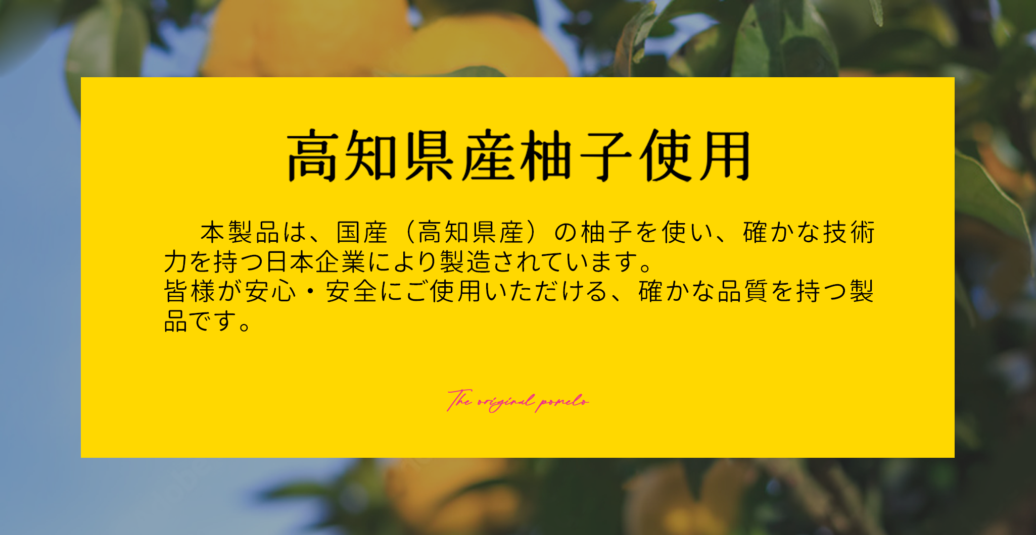 ケーエス W クレンジング ゆずジェル MAKE UP CLEANSING GEL 人気の成分 合成香料 合成着色料 不使用 W洗颜不要